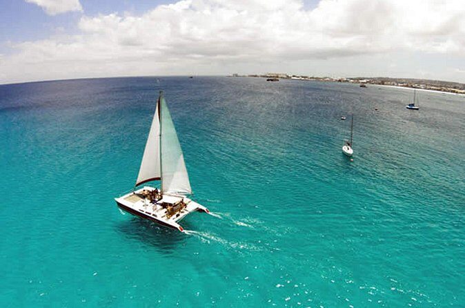 Barbados Catamaran Turtle Snorkel with Open Bar - Final Thought