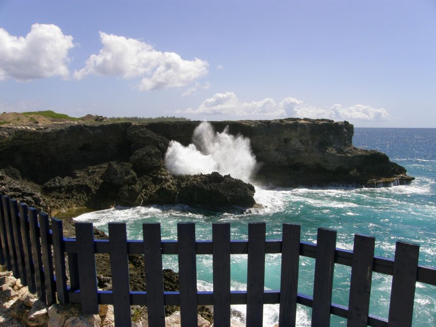 Barbados: Coastal Sightseeing Tour With Lunch and Transfers - Sights and Activities
