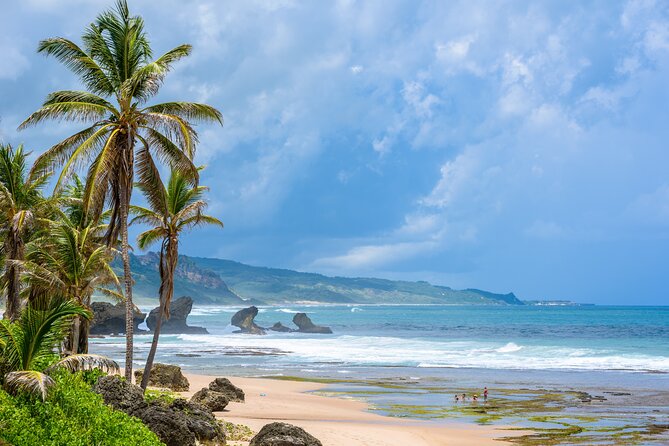 Barbados Coastal Tour - Guide Expertise and Insights