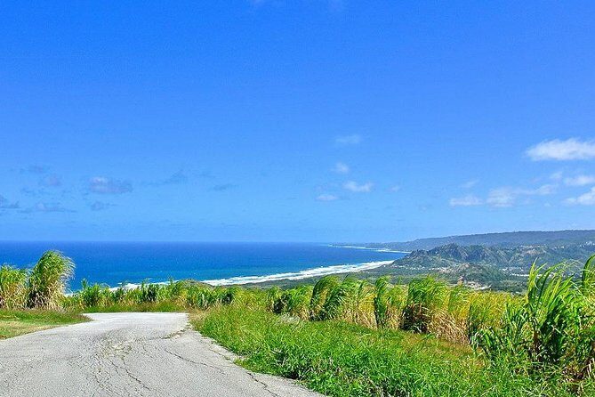 Barbados Full-day Coast to Coast Tour - Who Should Consider This Tour?