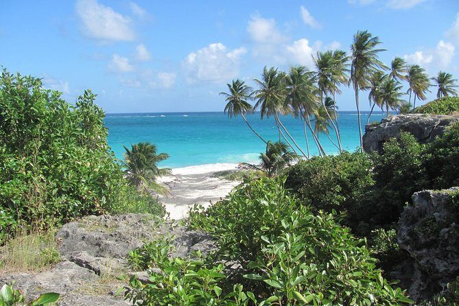 Barbados Full-day Coast to Coast Tour - Final thoughts: Is this tour right for you?