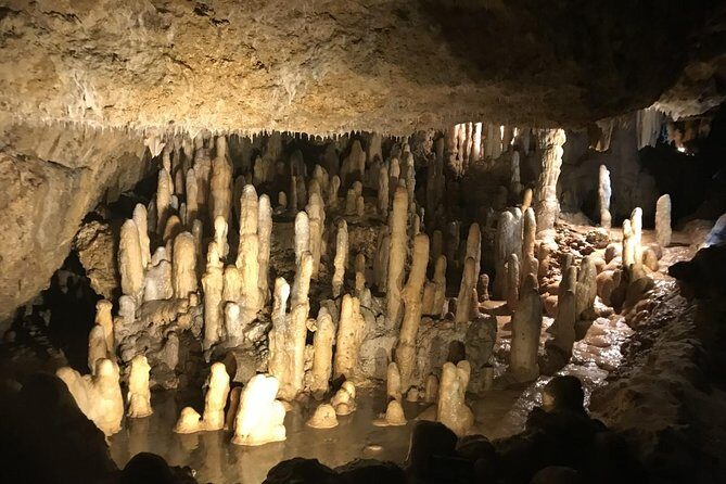 Barbados Full-day Private Tour - Final Words