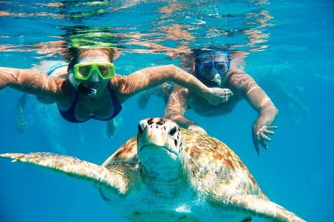 Barbados Glass Bottom Boat Cruise and Snorkeling - Who Is This Tour Perfect For?