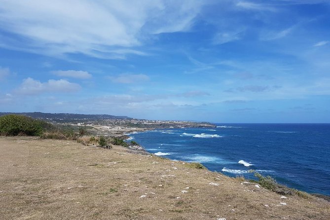 Barbados Half Day Coastal Sightseeing Private Tour - Customer Reviews and Experiences