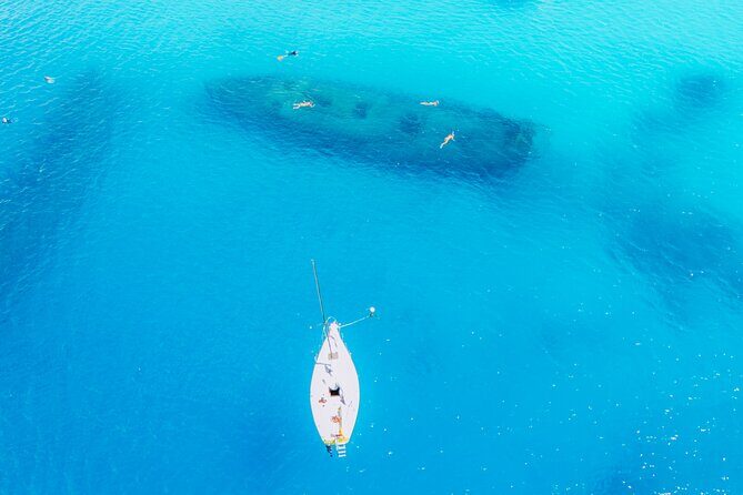 Barbados: Half-Day Private Charter on a J/24 Racing Sailboat - Analyzing the Value