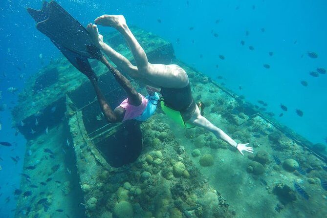 Barbados Harrison's Cave Tram Tour and Boat Cruise Snorkel Adventure - Final Thoughts: Who Will Love This Tour?