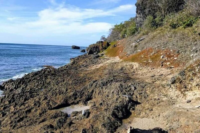 Barbados: Hiking and Sightseeing Tour - A Closer Look at the Barbados Hiking and Sightseeing Tour