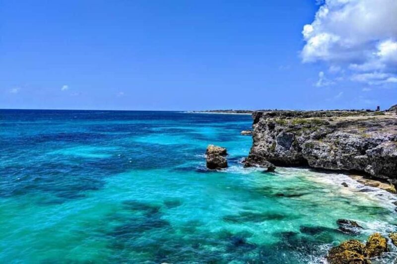 Barbados: Hiking and Sightseeing Tour - Why Choose This Barbados Experience?