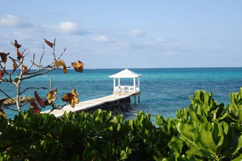Barbados: Island Tour with Cave, Monkeys, and Boat Ride - Who Will Love This Tour?