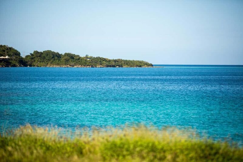 Barbados: Island Tour with Cave, Monkeys, and Boat Ride - FAQ