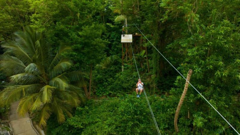 Barbados: Monkey Zip & Gully Challenge Adventure - The Challenge Course: A Test of Nerve and Skill