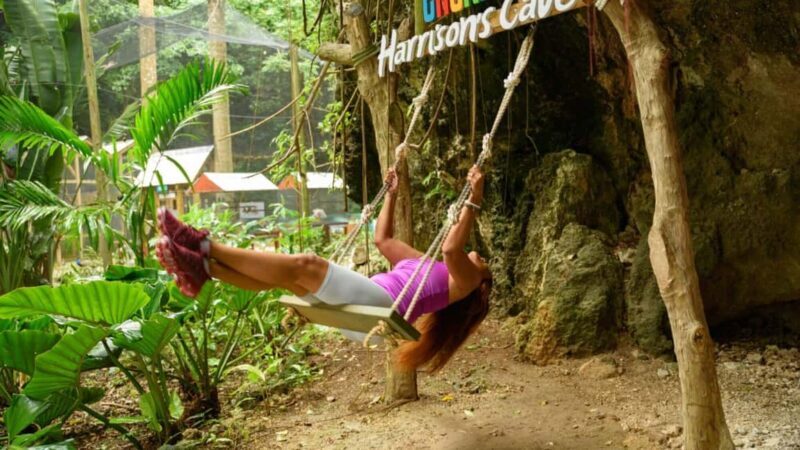 Barbados: Monkey Zip & Gully Challenge Adventure - Relaxation and Refreshments