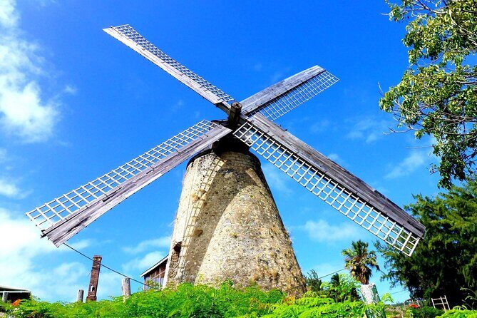 Barbados Paradise Tour with Hotel Transfers - Who Should Consider This Tour?