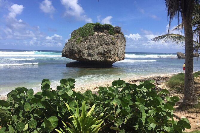 Barbados Paradise Tour with Hotel Transfers - The Sum Up