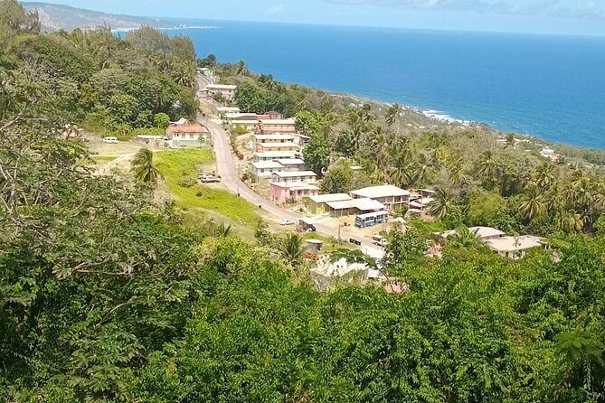 Barbados Private Custom Island Tour - FAQs