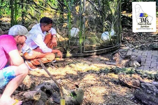 Barbados Private Customised Island Tours - FAQ