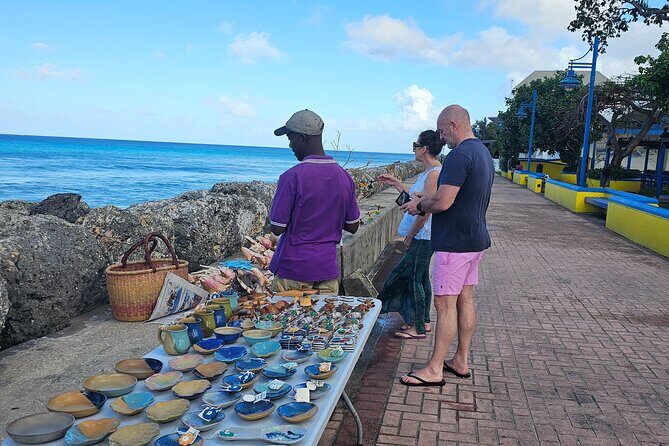 Barbados Private Guided Scenic Tour - Who Is This Tour Best For?