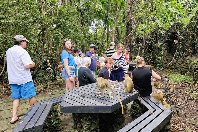 Barbados Private Island Tour: A Fully Customizable Experience - Who Would Enjoy This Tour?