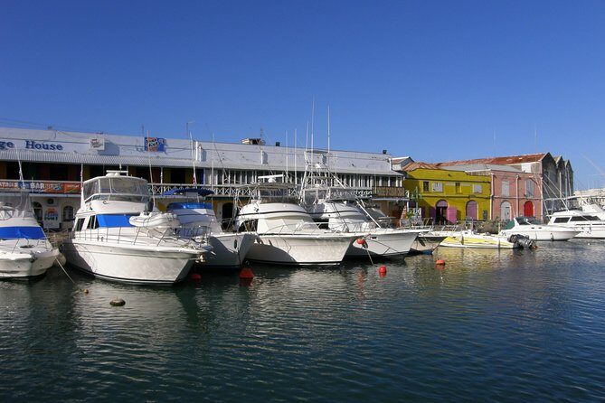 Barbados Shore Excursion Barbados Paradise Sightseeing Tour - The Sum Up: Who Will Love This Tour?