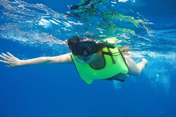 Barbados Shore Excursion: Carlisle Bay Turtle & Shipwreck - The Sum Up