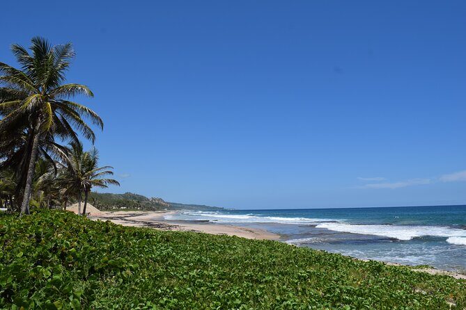 Barbados Shore Excursion Island Tour and Snorkel Cruise - Introduction