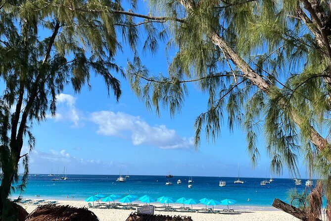 Barbados Shore Excursion Snorkel cruise and Beach Day - FAQ