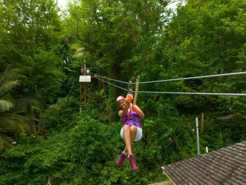 Barbados: Signature Park Pass & Monkey Zip Experience - What We Don’t Love (But Should Be Aware Of)