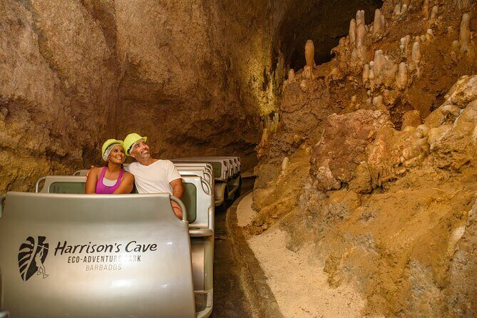 Barbados Tastes and Tales and Harrisons Cave Signature Tram Tour - Final Thoughts: Who Will Love This Tour?