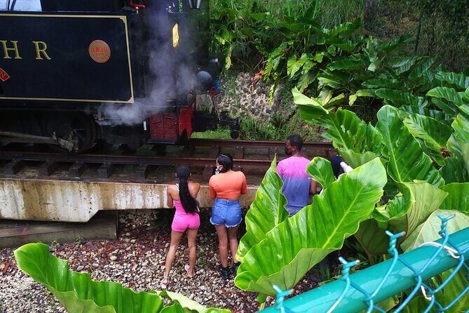 Barbados through the eyes of a local - Exploring Barbados with a Local Touch