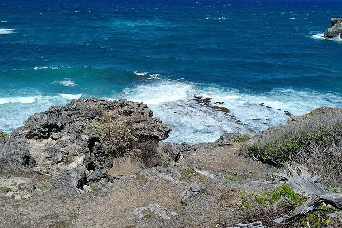 Barbados through the eyes of a local - Authentic Interactions and Local Flavor