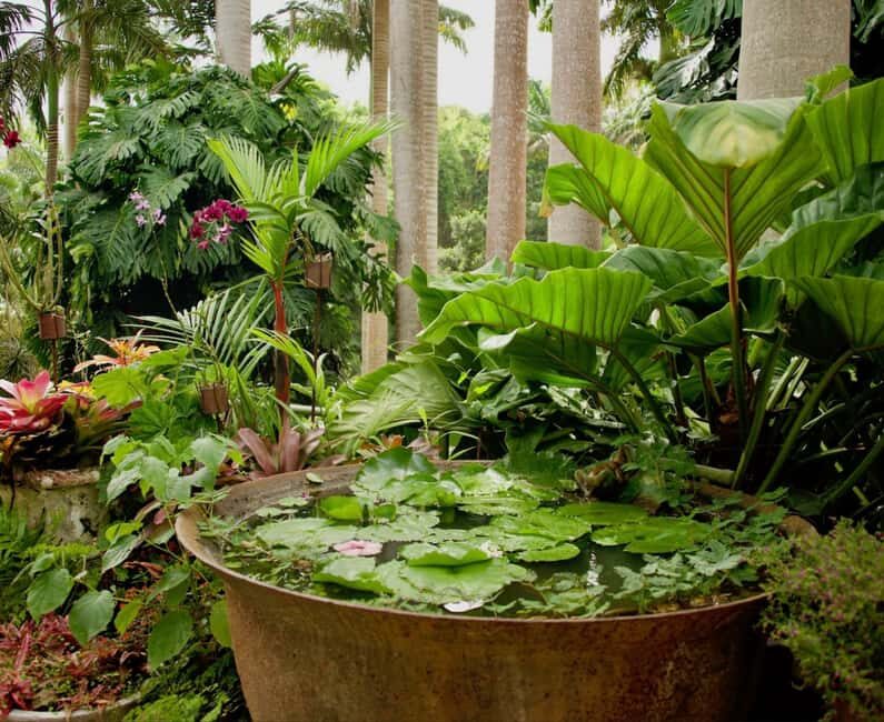 Barbados: Tour of Harrison's Cave & Hunte's Gardens - Key Points