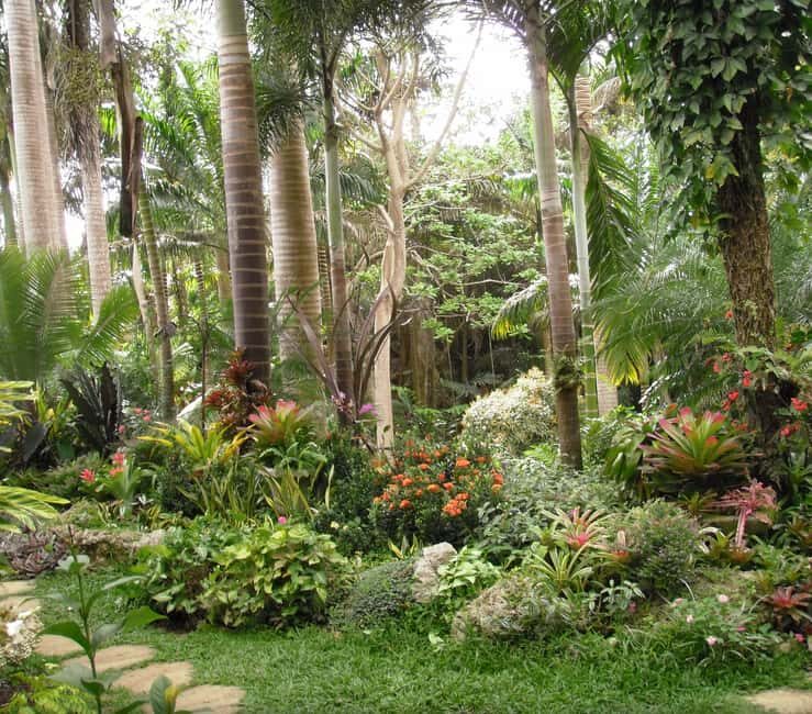 Barbados: Tour of Harrison's Cave & Hunte's Gardens - Guided Tour Experience and Logistics