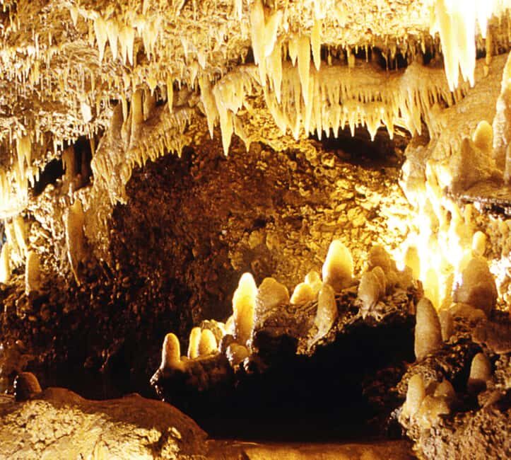 Barbados: Tour of Harrison's Cave & Hunte's Gardens - FAQs