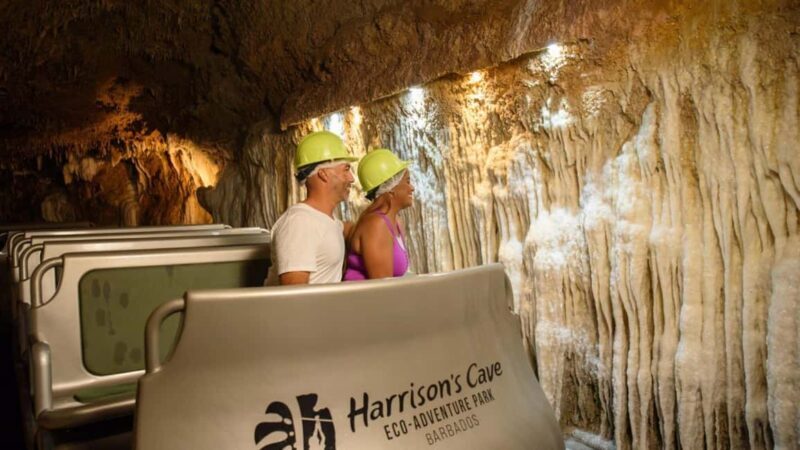 Barbados: Trail, Tram & Rum Experience - Authenticity and Overall Experience