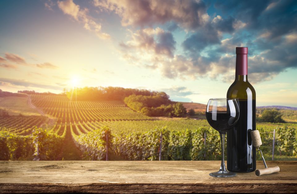Barberino Tavarnelle: Wine Tasting and Dinner in Chianti - Tasting the Wines