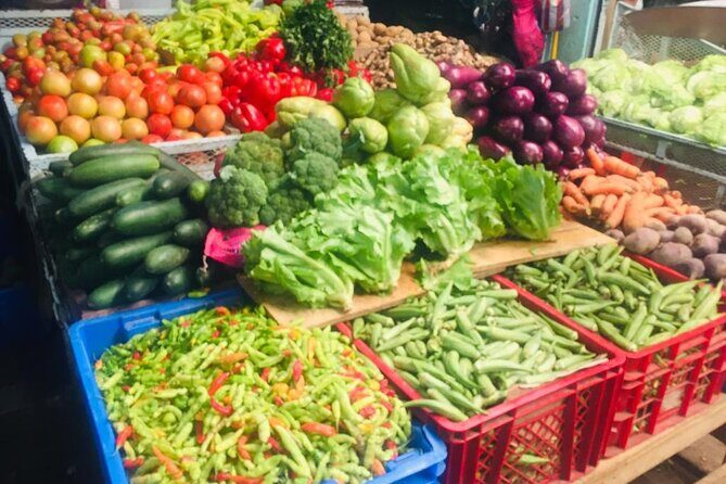 Barceló Bávaro Beach - Round Trip Shuttle - Punta Cana Airport - Navigating the Booking Process and Logistics