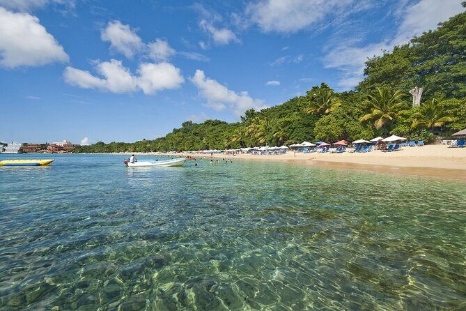 Barceló Bávaro Beach - Round Trip Shuttle - Punta Cana Airport - Why You Might Choose This Shuttle