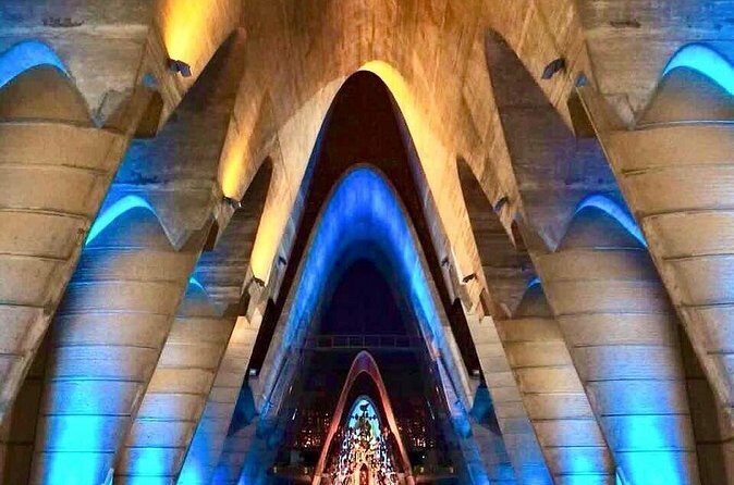 Barceló Bávaro Beach - Round Trip Shuttle - Punta Cana Airport - Who Should Consider This Service?