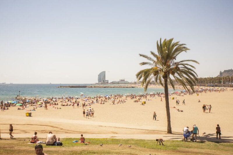 Barcelona: 3-Hour Segway Sightseeing Tour - Participant Information and Reviews