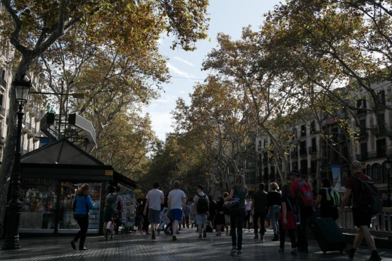 Barcelona: 4-hour Private Guided Walking Tour - Customer Feedback