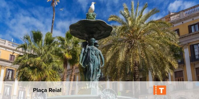 Barcelona: All-Inclusive City Card & Public Transport Option - Attraction Accessibility and Reservations