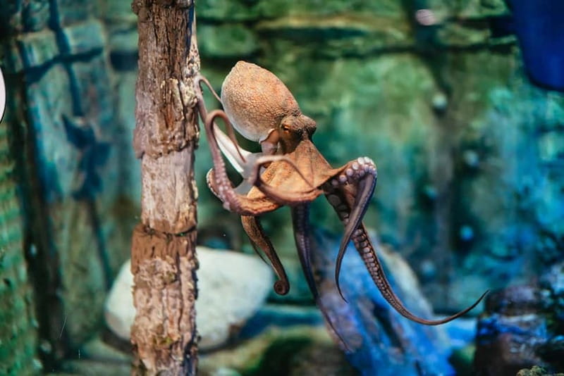 Barcelona Aquarium: Entry Ticket - Final Thoughts