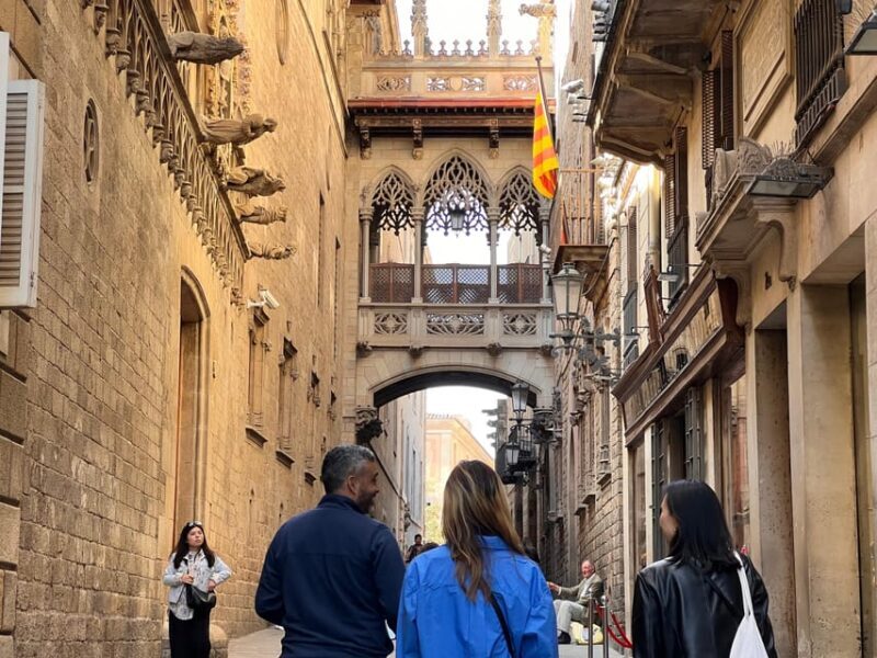 Barcelona: Barri Gotic Small Group Walking Tour - An Introduction to the Gothic Quarter Tour