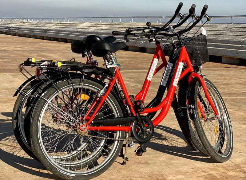 Barcelona: Bike Rental with Map & Local Recommendations - Who Will Love This Experience?