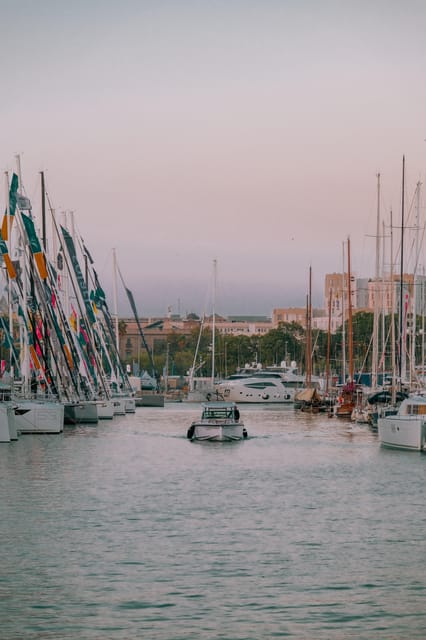 Barcelona by Air and Sea: Montjuic, Cable Car, Beach and Catamaran. - Key Points