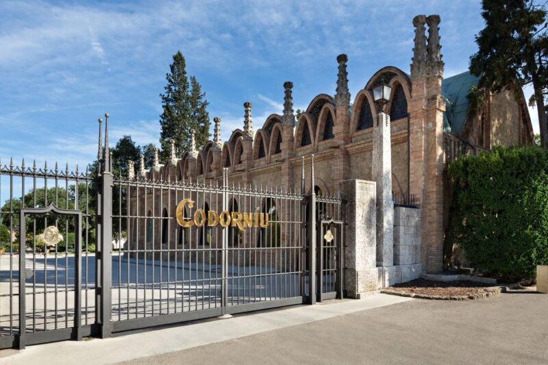 Barcelona: Casa Codorníu Guided Tour with Cava Tastings - Who Should Consider This Tour?