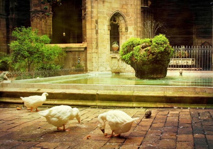 Barcelona Cathedral: Ticket, Guided Tour and VR Experience - Frequently Asked Questions