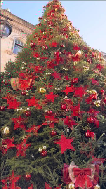Barcelona: Christmas Lights and Markets Bike Tour - A Deep Dive into the Experience