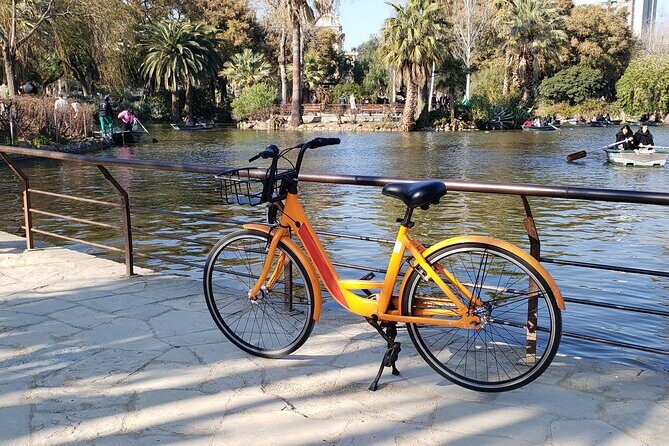 Barcelona City Highlights Bike Tour with E-Bike Option - An In-Depth Look at the Barcelona Highlights Bike Tour