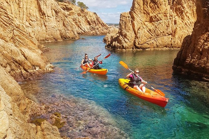 Barcelona Day : Costa Brava Snorkeling and Kayaking Tour(Small Group With Lunch) - Inclusions and Amenities